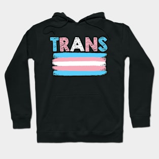 Transgender Pride Shirt Trans Queer LGBTQIA Agender Gay Ally Hoodie